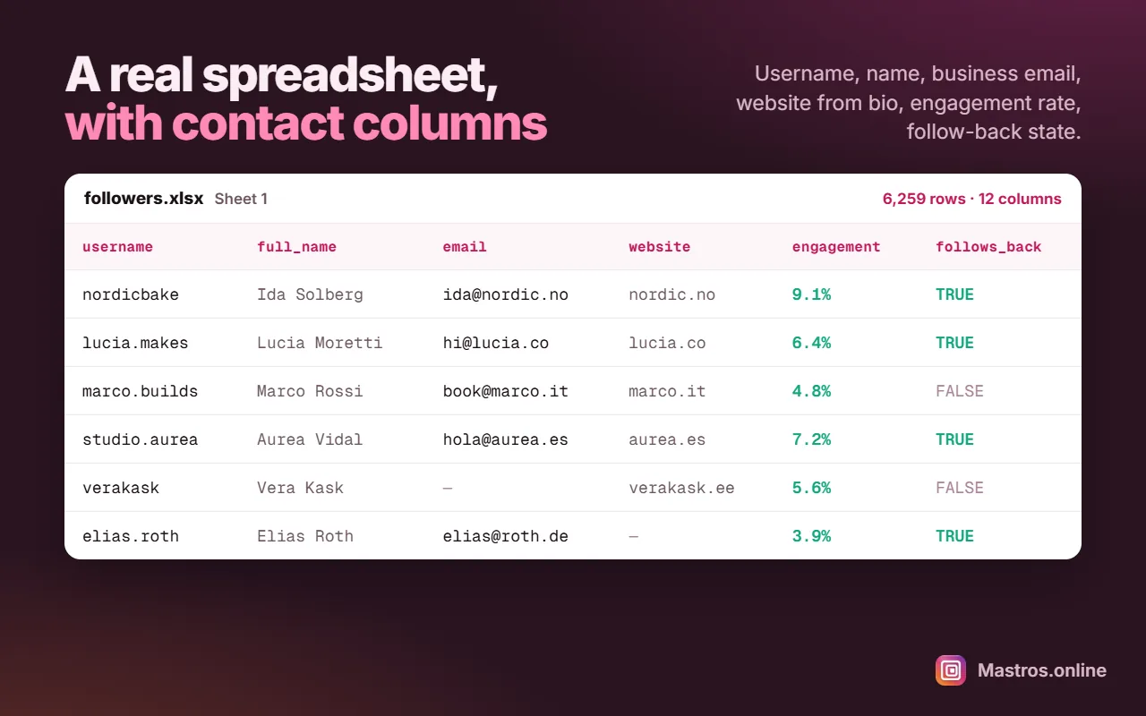 A followers spreadsheet with username, full name, email, website, engagement and follows-back columns, 6,259 rows across 12 columns.